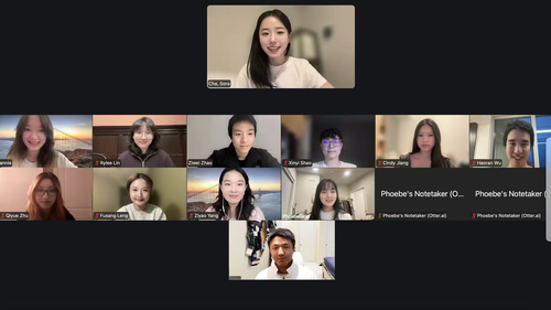 A zoom screen with 12 faces in the grid
