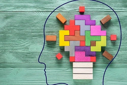 graphic of a silhouette of a head filled with wooden block puzzle