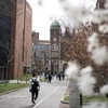 Locust Walk during the spring with blossoming trees