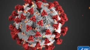 An image of a COVID-19 virus.
